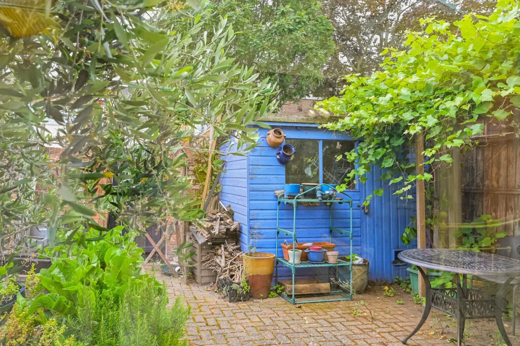 3 bedroom house for rent