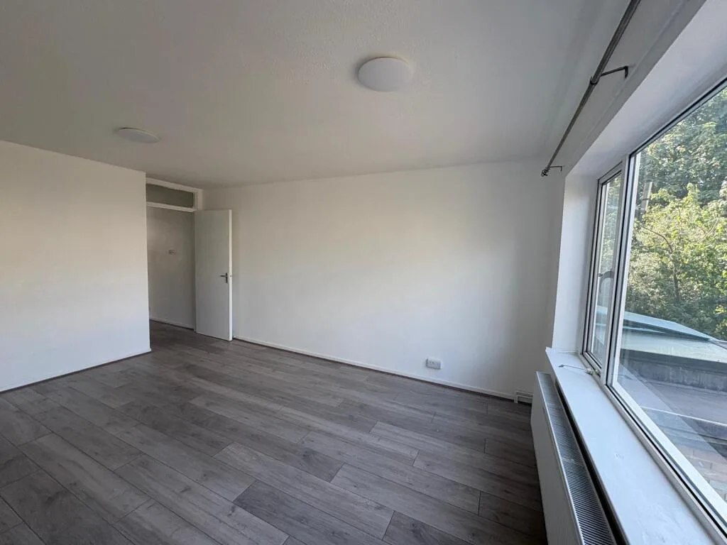3 bedroom house for rent