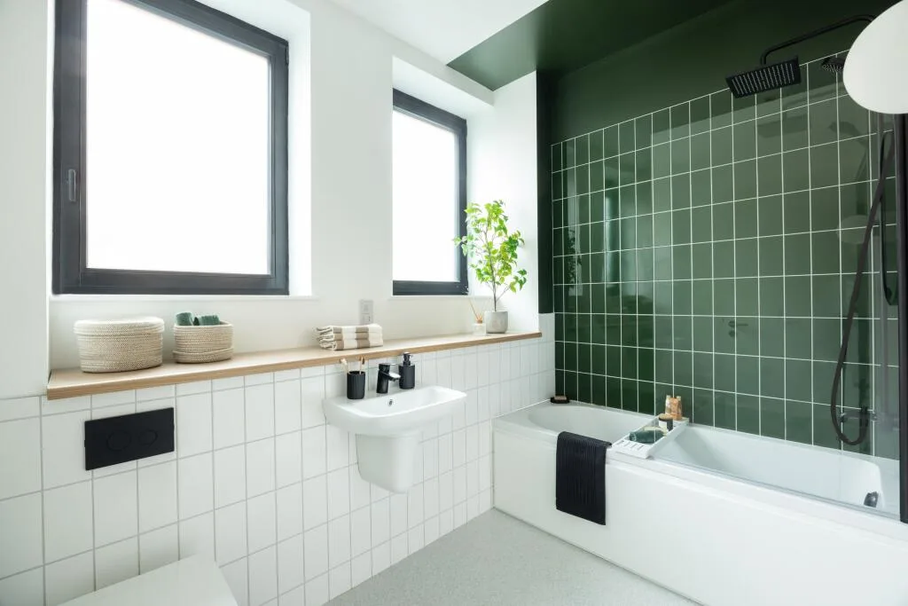 1 bedroom apartment for rent