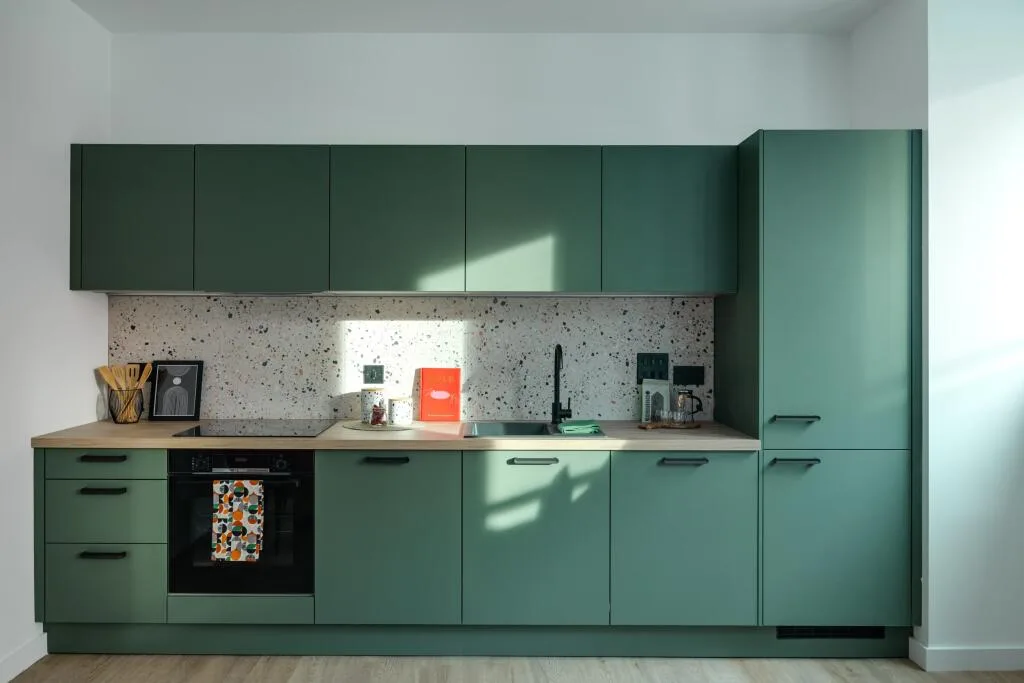 1 bedroom apartment for rent