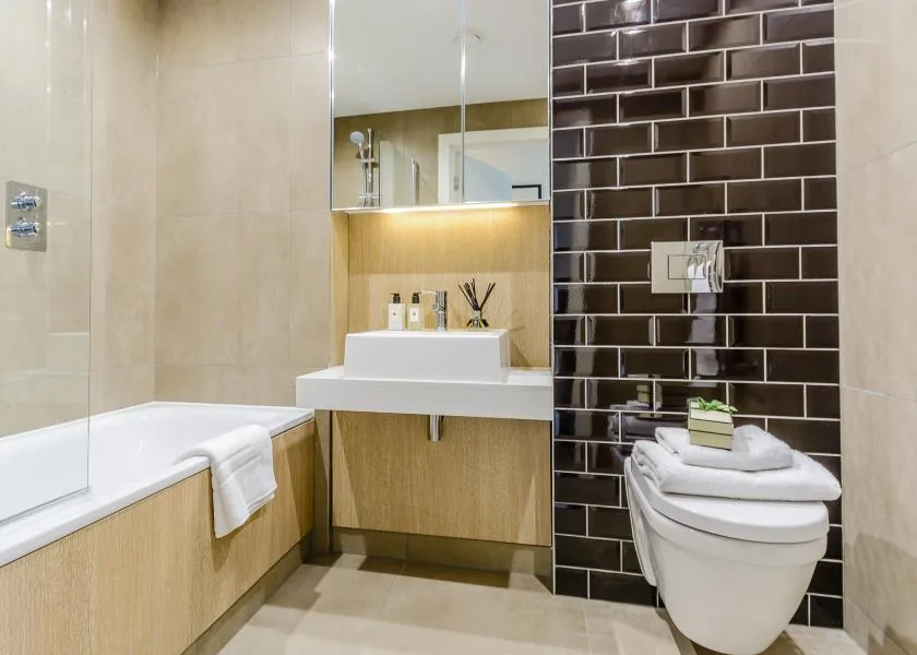 1 bedroom apartment for rent