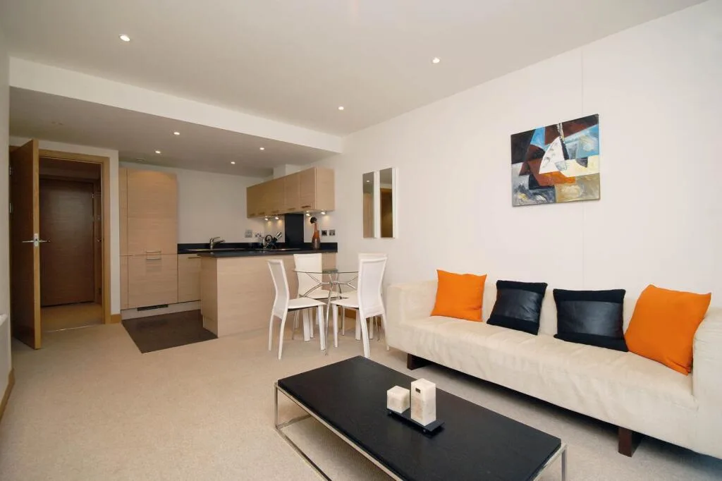 1 bedroom apartment for rent