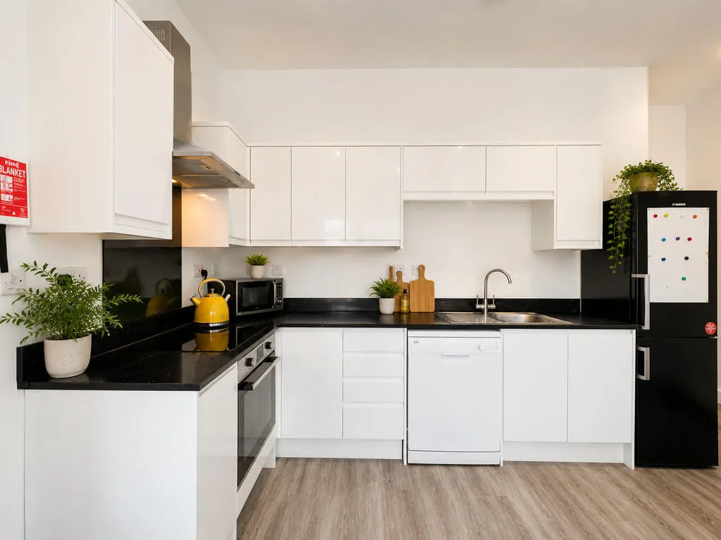 4 bedroom apartment for rent