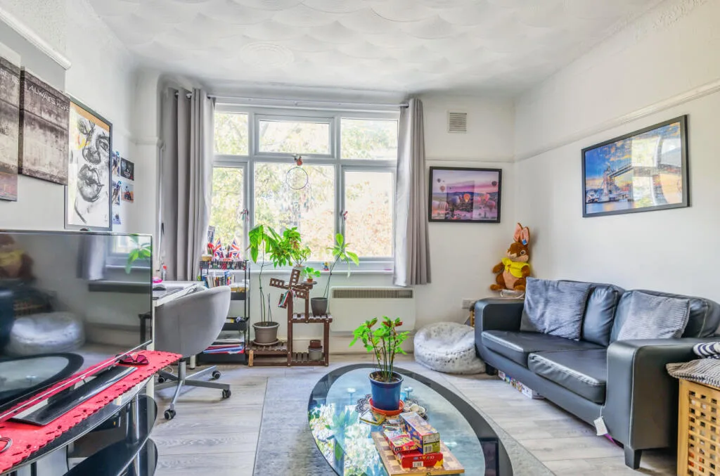 1 bedroom apartment for rent
