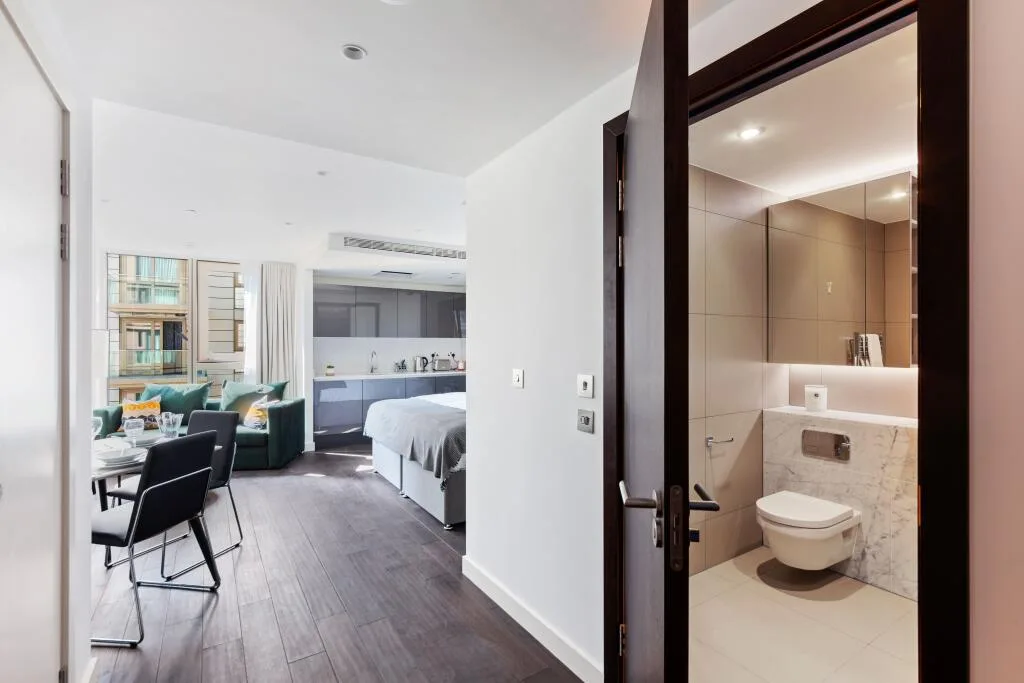 1 bedroom apartment for rent
