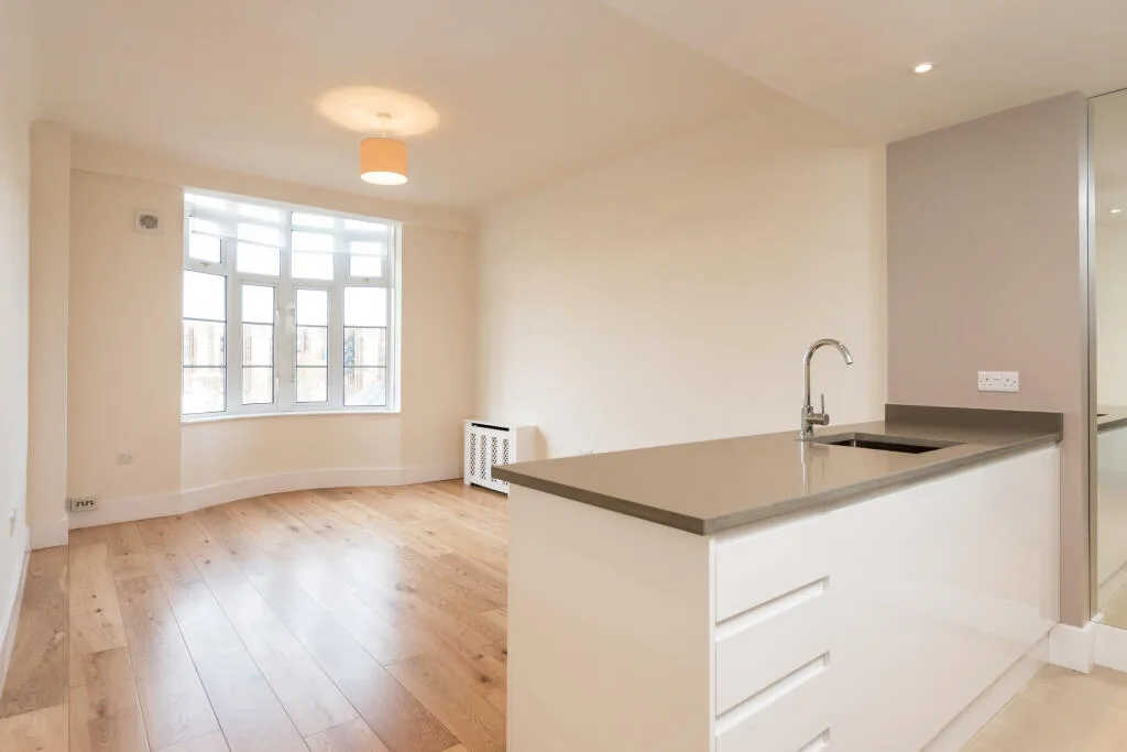 1 bedroom apartment for rent