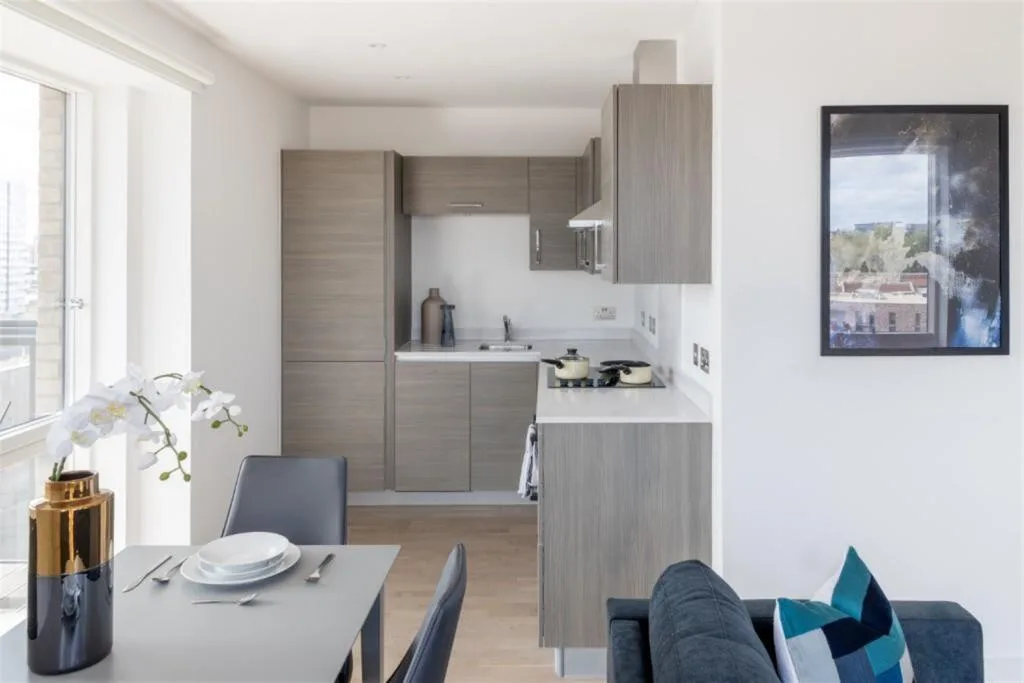 1 bedroom flat for rent
