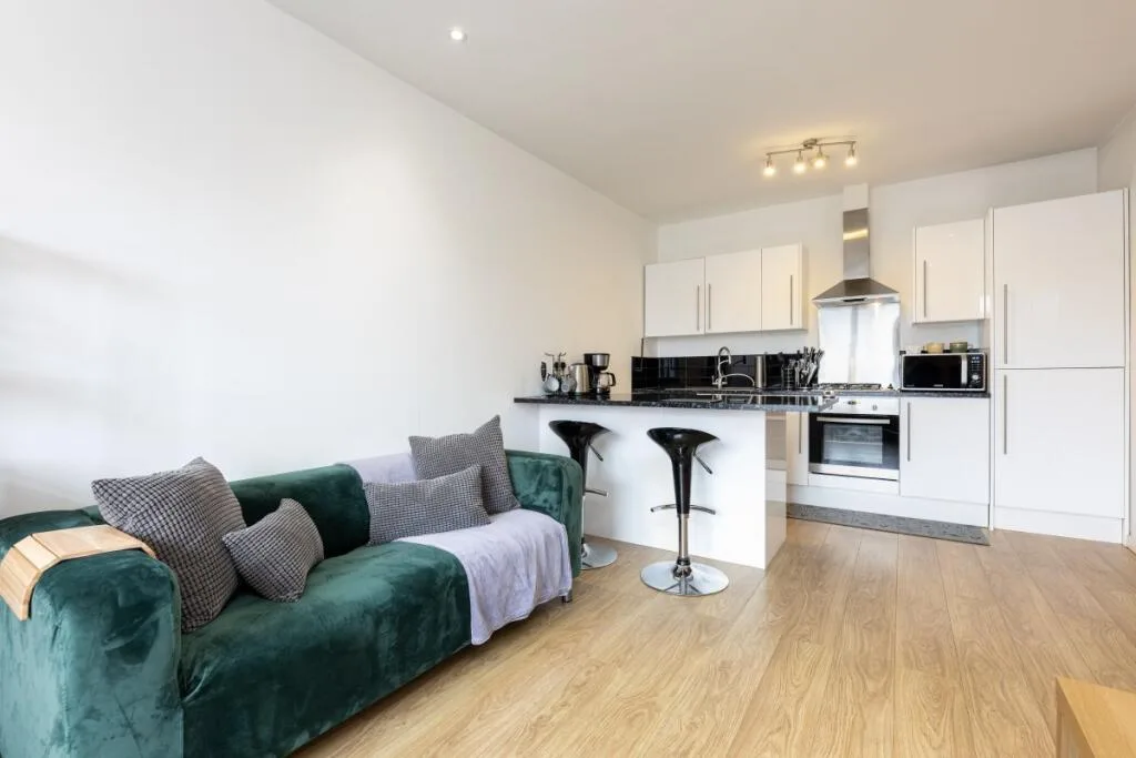 1 bedroom apartment for rent