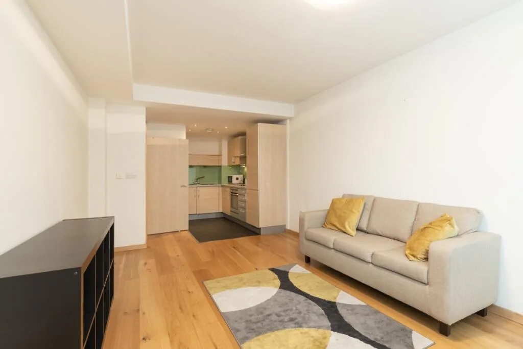 1 bedroom apartment for rent