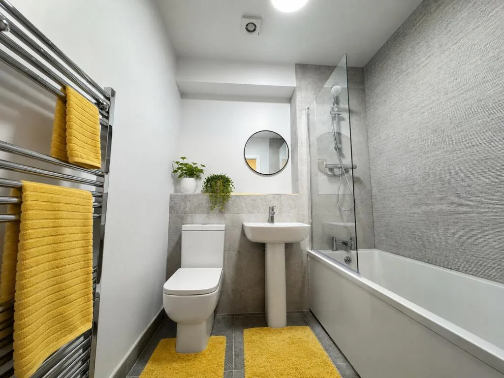 1 bedroom apartment for rent