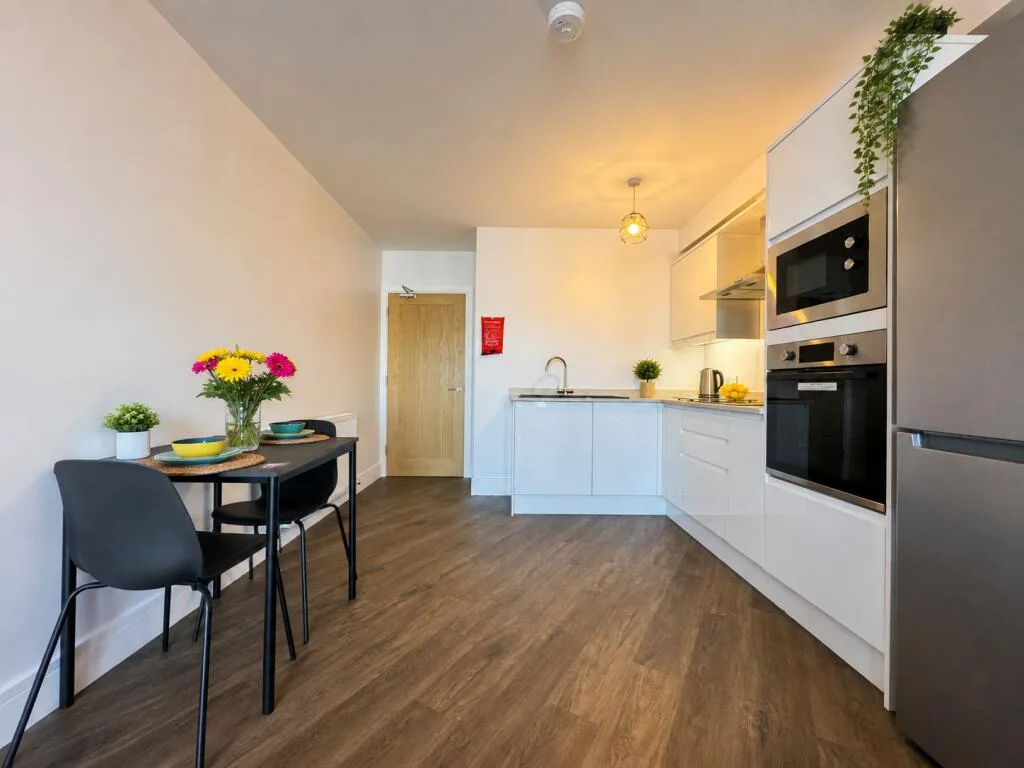 1 bedroom apartment for rent