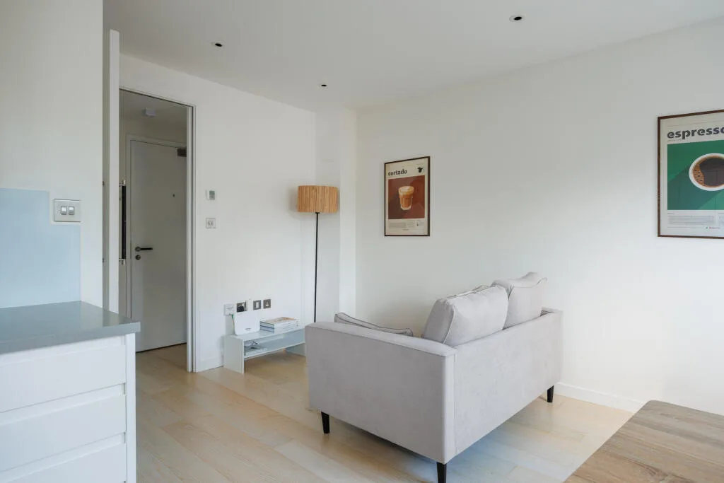 1 bedroom apartment for rent