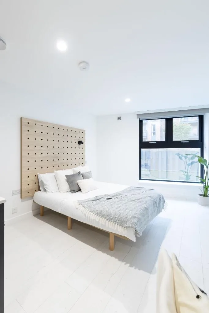 Studio flat for rent