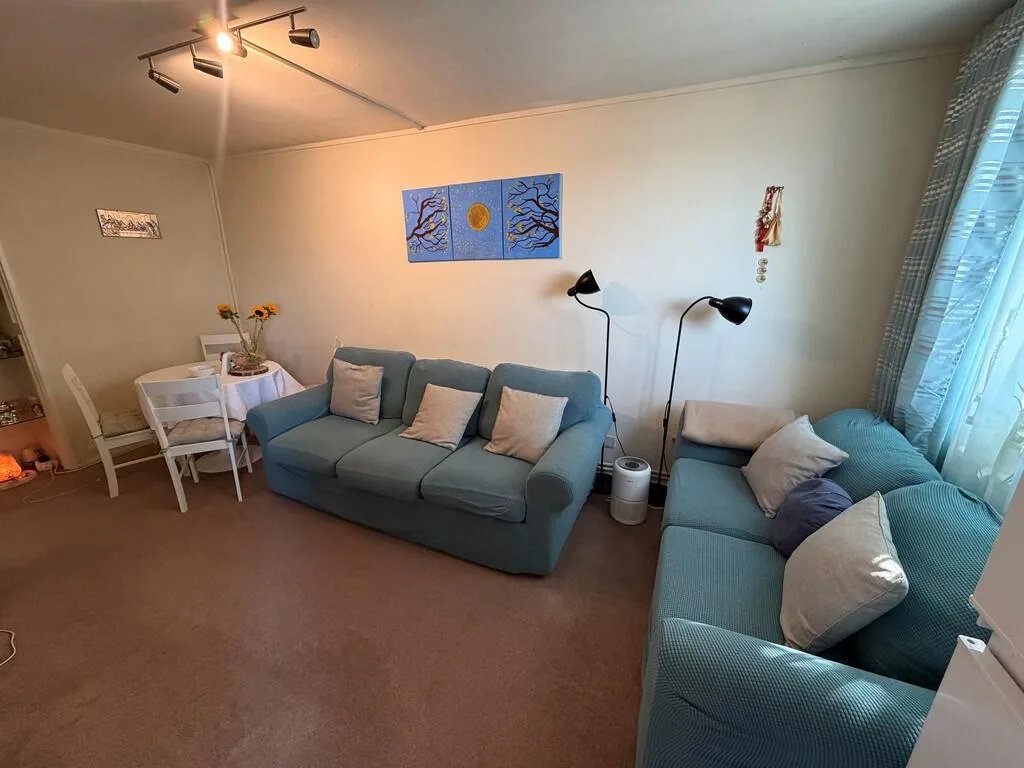 1 bedroom apartment for rent