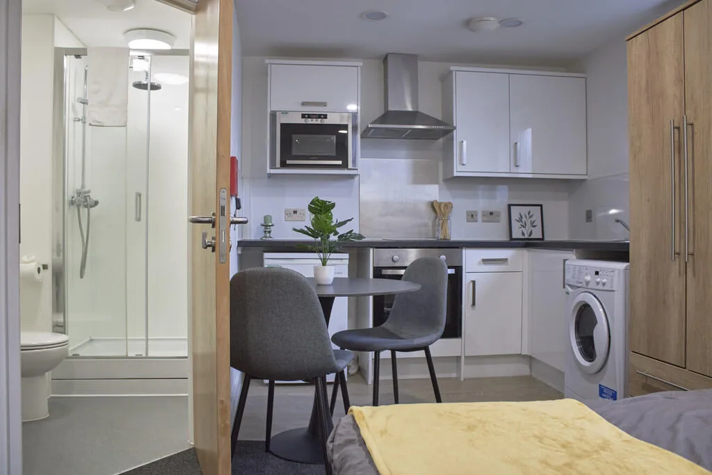 Studio flat for rent