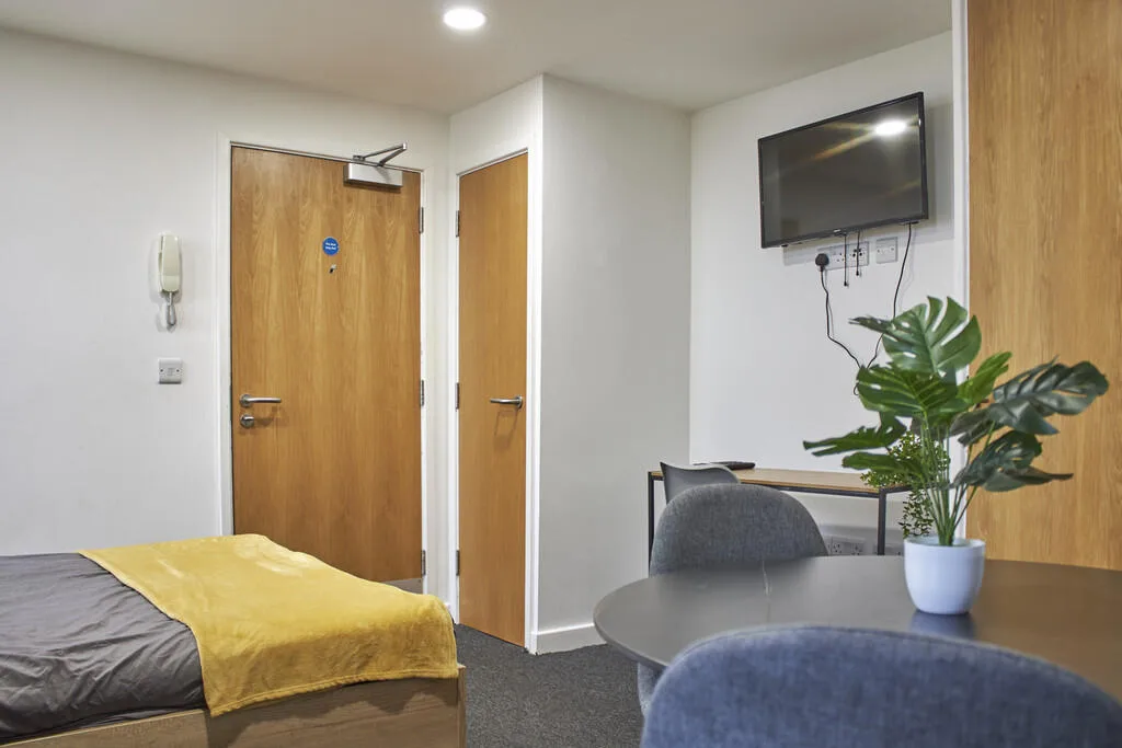 Studio flat for rent