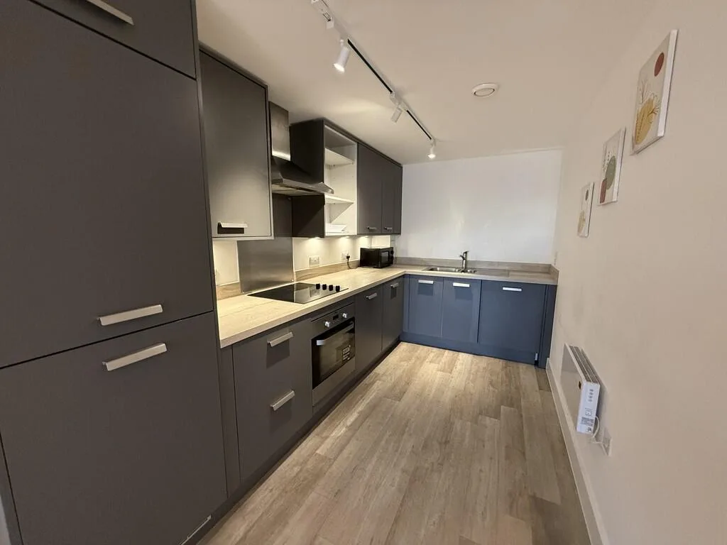 1 bedroom apartment for rent