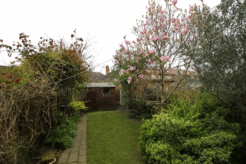 3 bedroom terraced house for rent