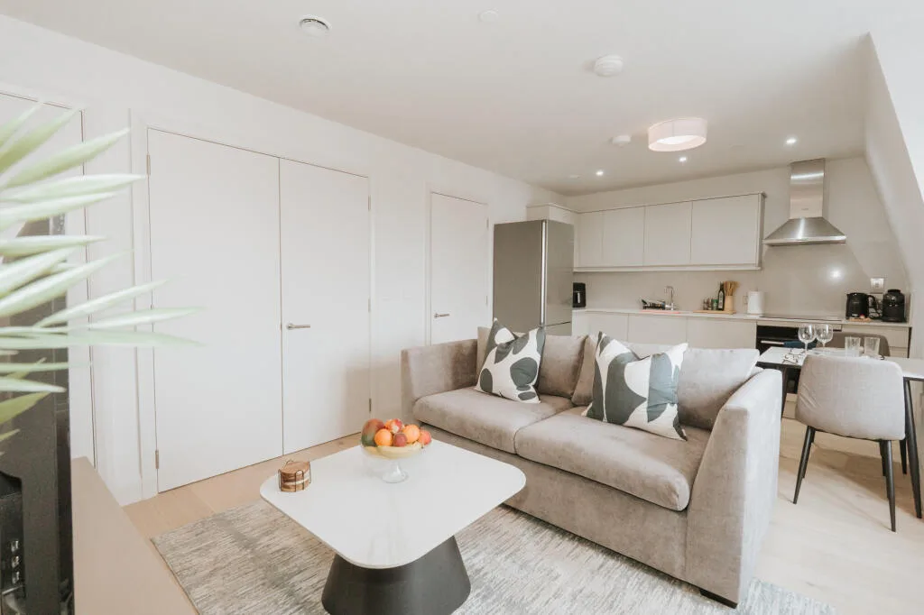 1 bedroom flat for rent
