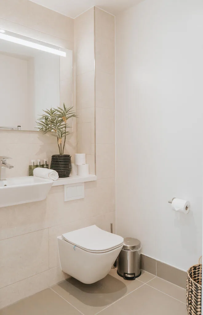 1 bedroom flat for rent