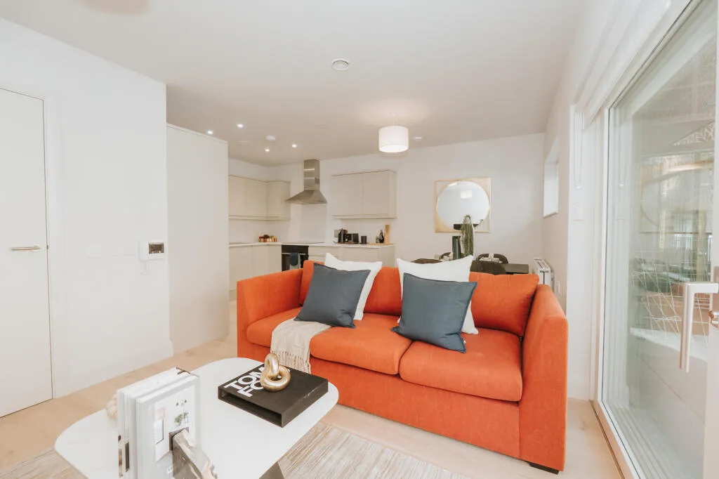 1 bedroom flat for rent