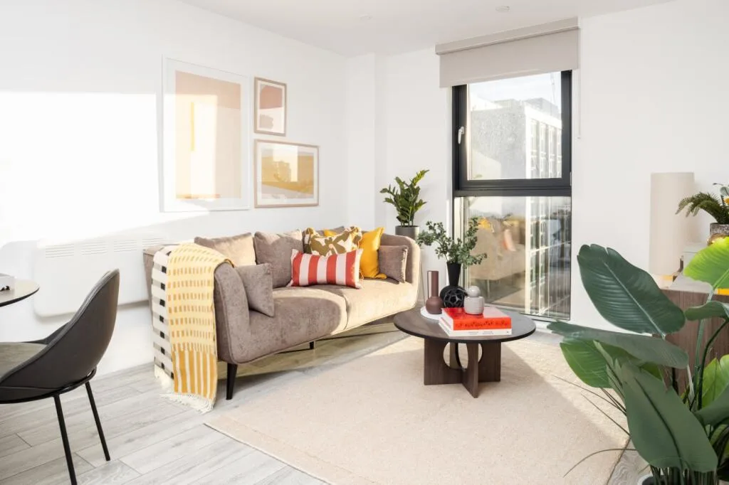 1 bedroom flat for rent