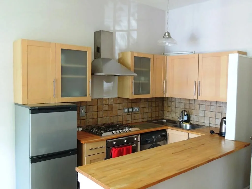 1 bedroom apartment for rent