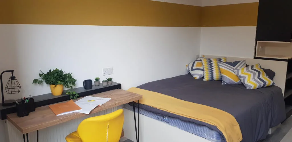 1 bedroom house for rent