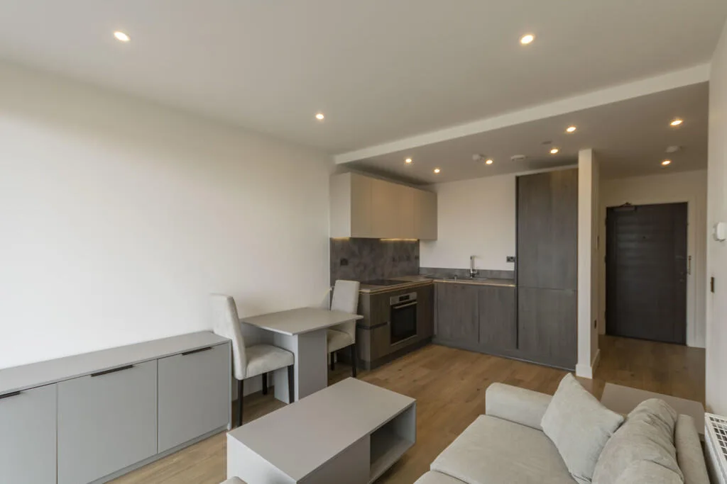 1 bedroom apartment for rent