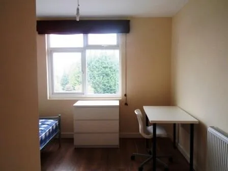 1 bedroom house for rent