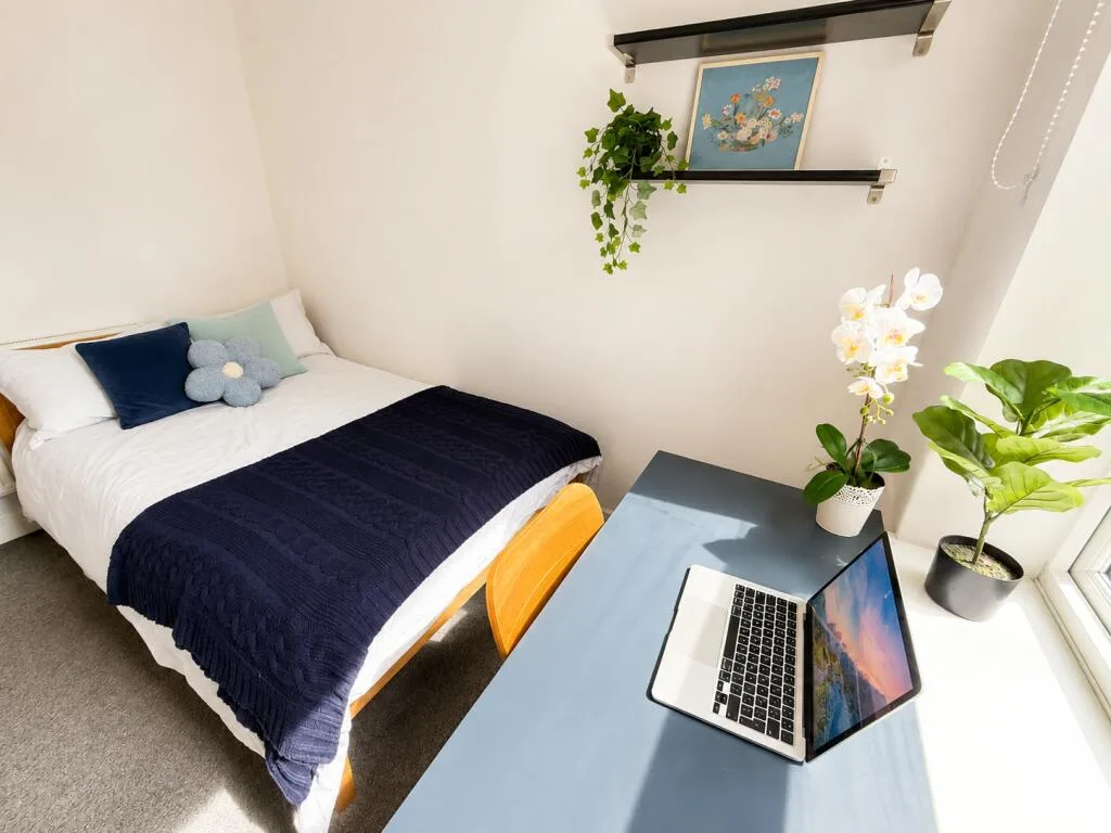 4 bedroom flat for rent