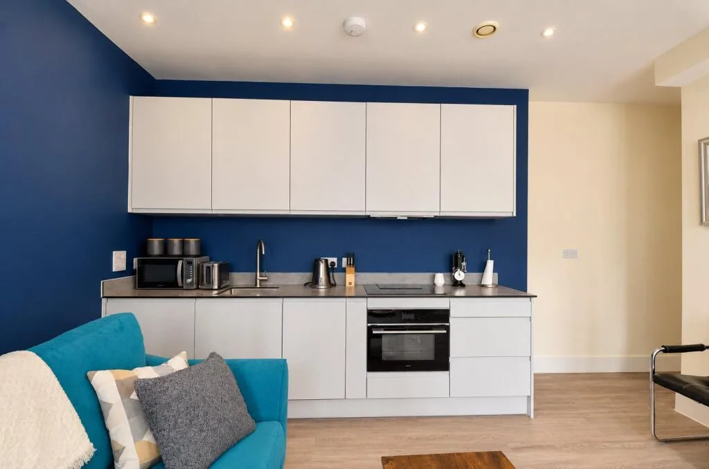 1 bedroom apartment for rent