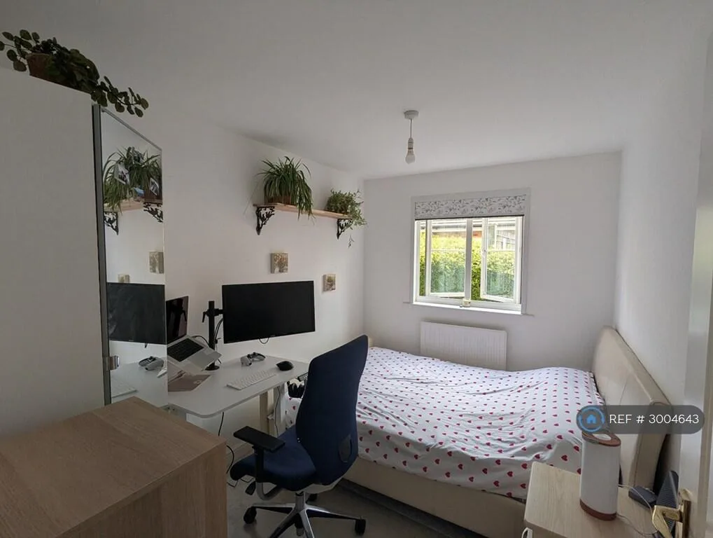 2 bedroom flat for rent