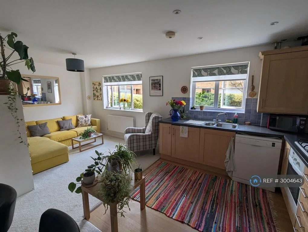 2 bedroom flat for rent