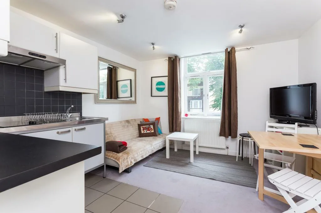 1 bedroom apartment for rent