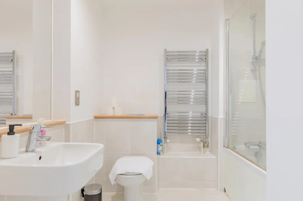 1 bedroom apartment for rent