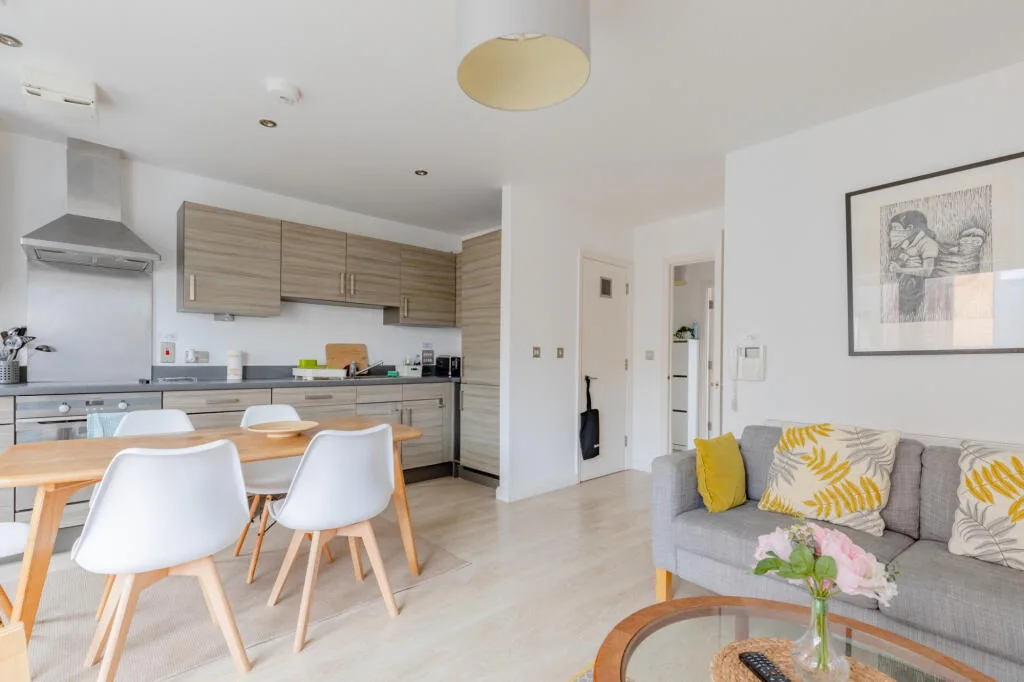 1 bedroom apartment for rent