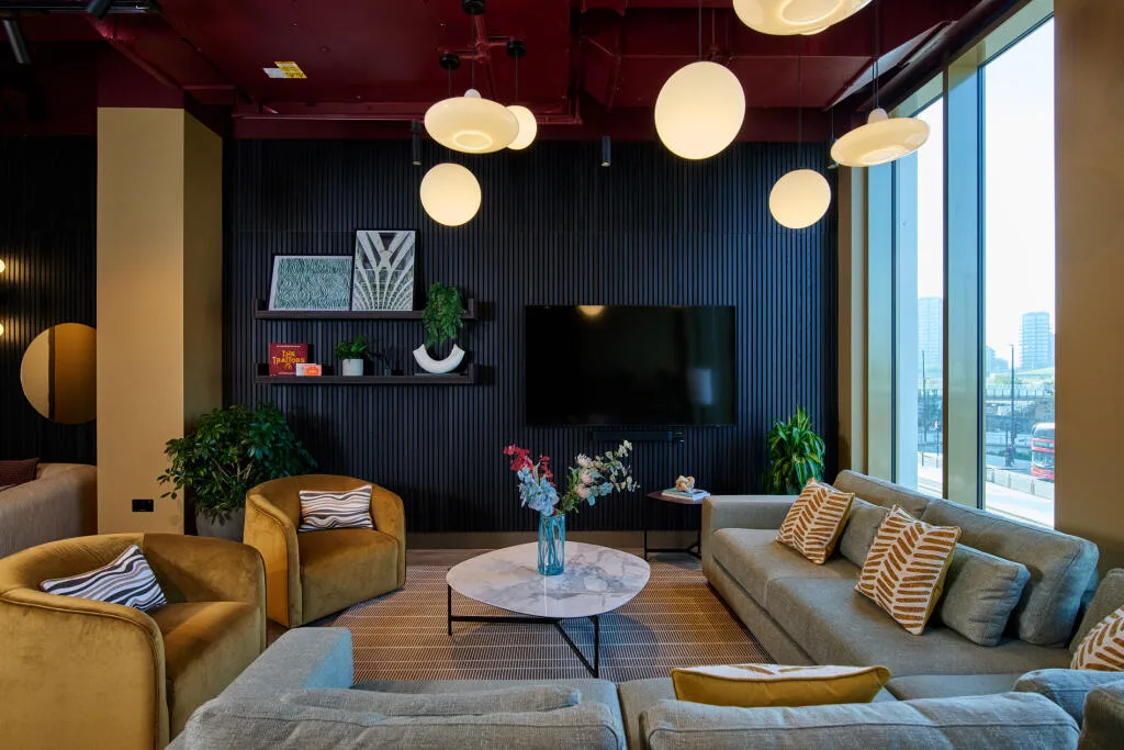 1 bedroom apartment for rent