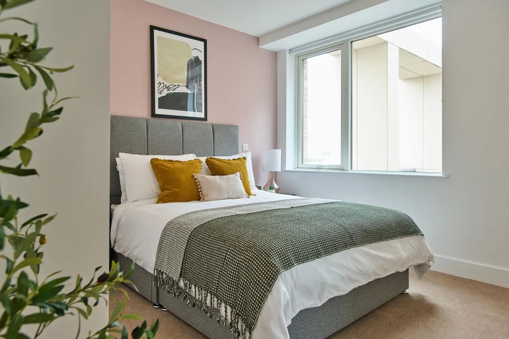 1 bedroom apartment for rent