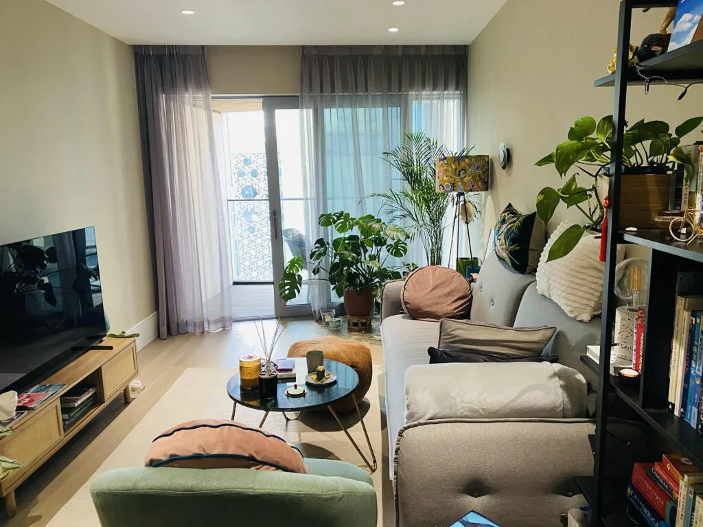 1 bedroom apartment for rent
