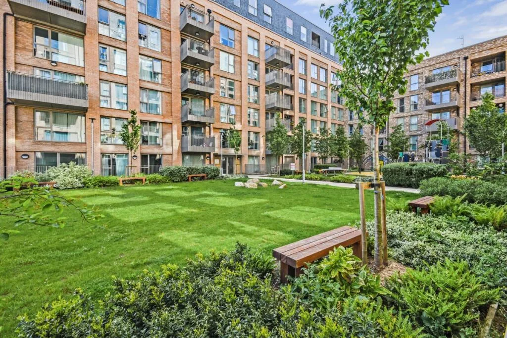 1 bedroom apartment for rent