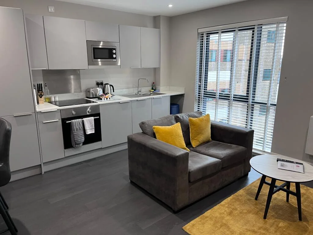 1 bedroom apartment for rent