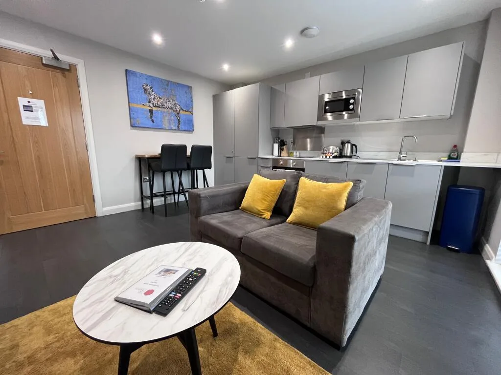 1 bedroom apartment for rent