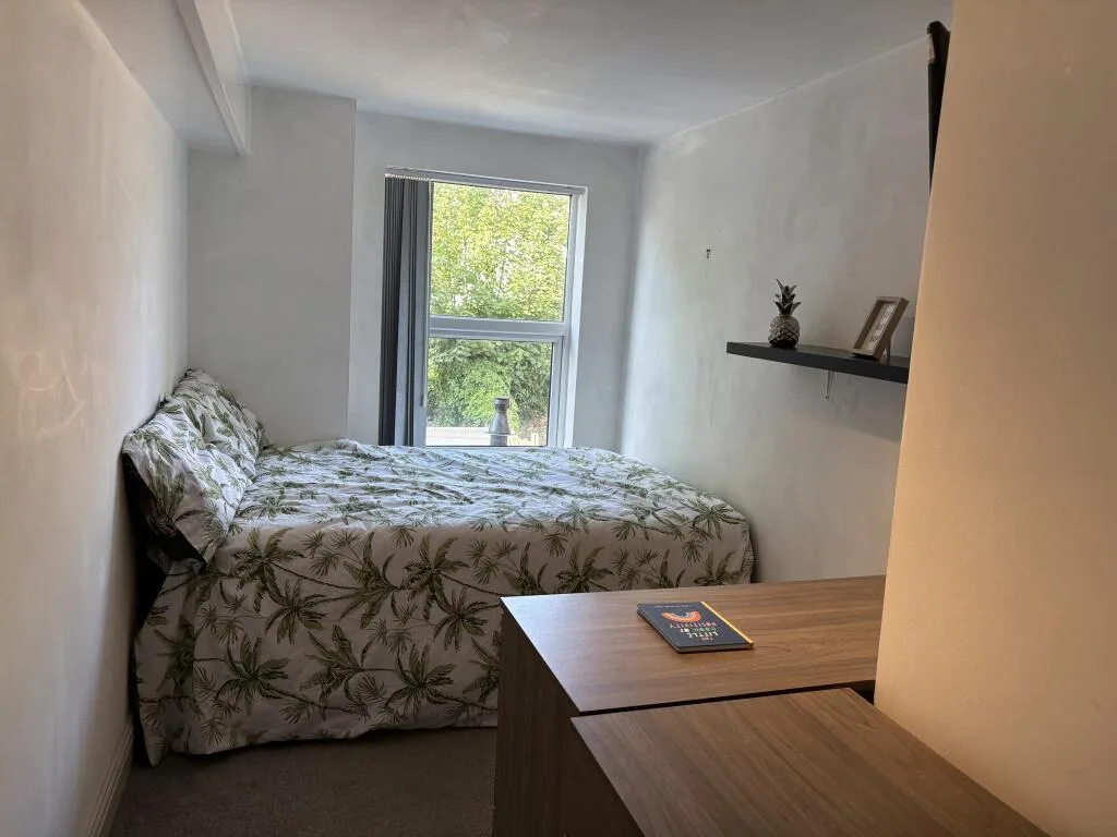 1 bedroom house for rent