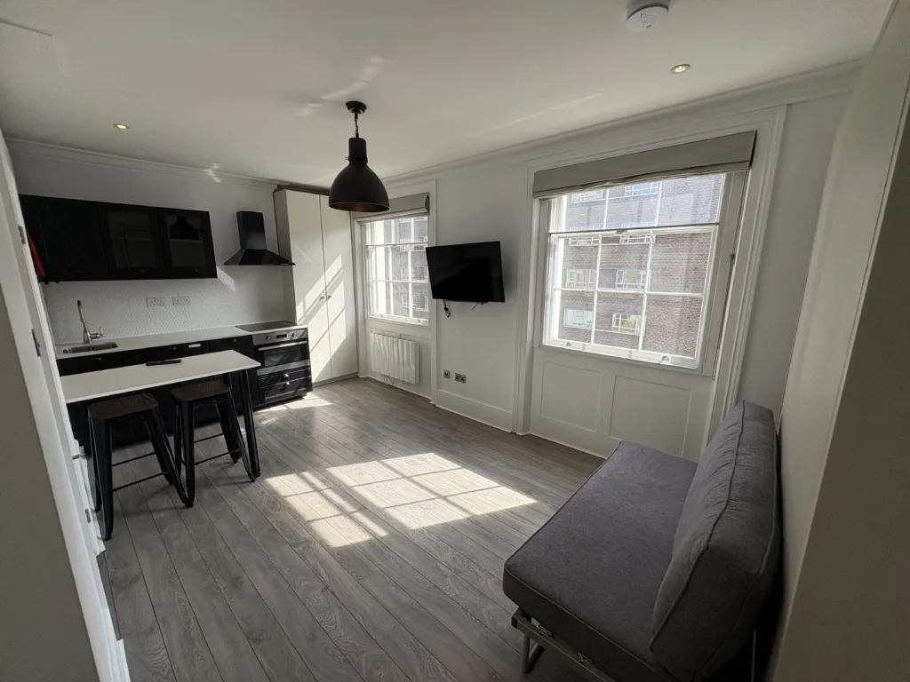 Studio flat for rent