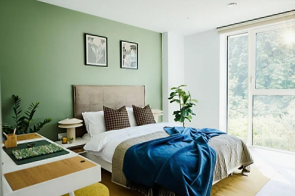 1 bedroom apartment for rent