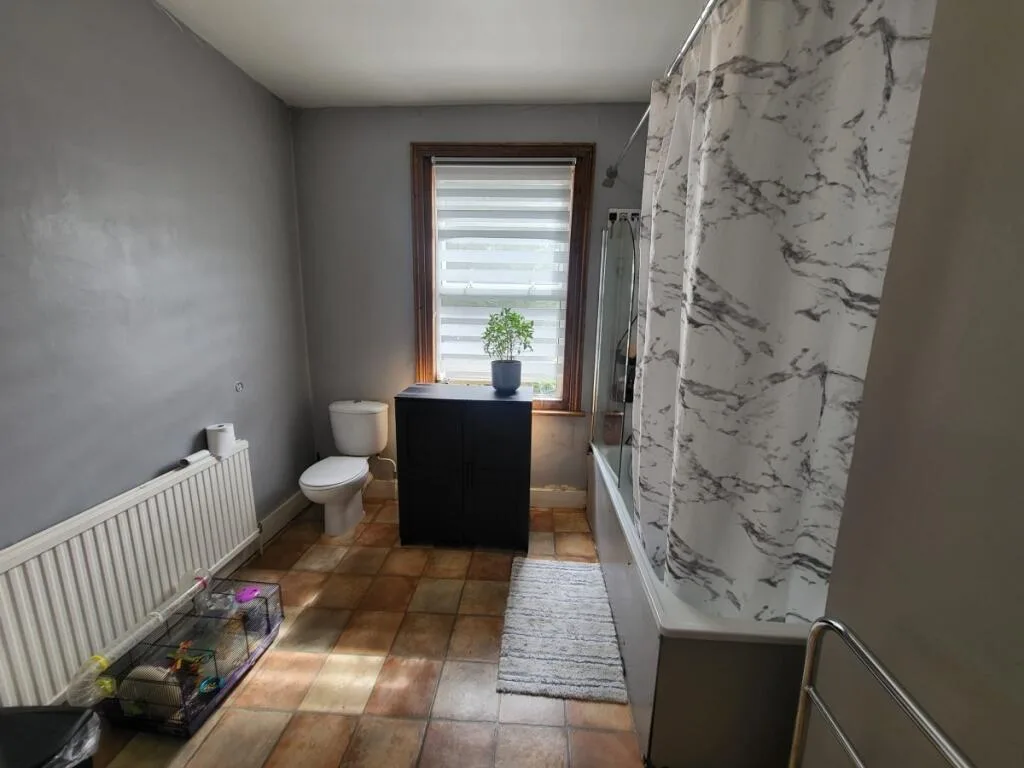 2 bedroom house for rent