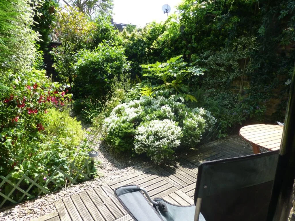 2 bedroom house for rent