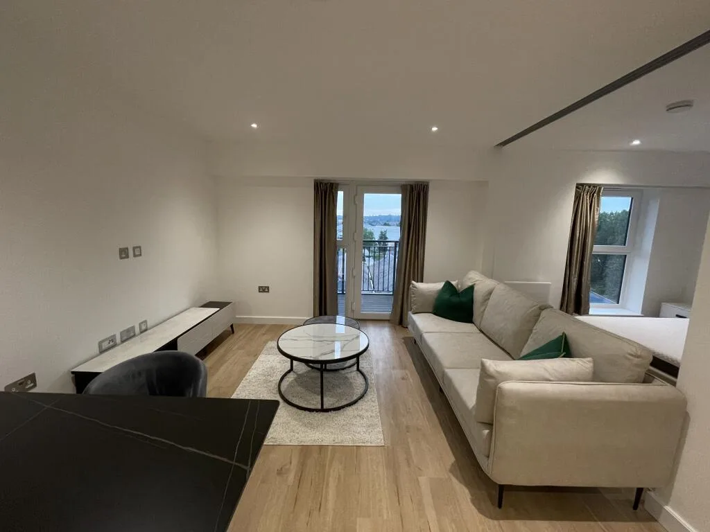1 bedroom apartment for rent