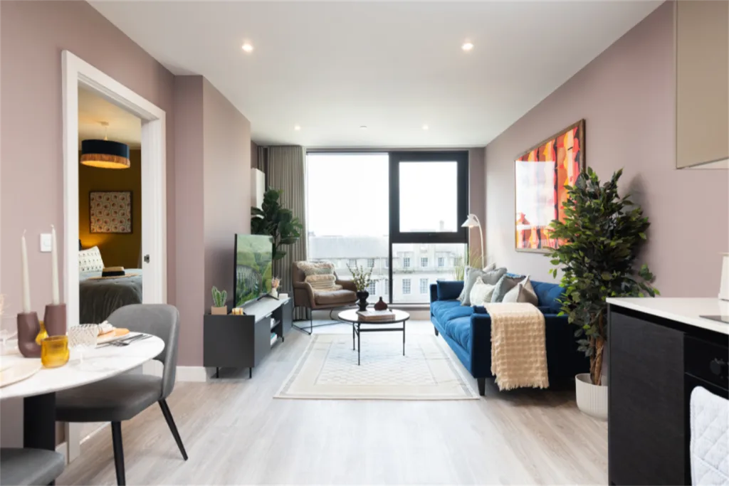 1 bedroom apartment for rent